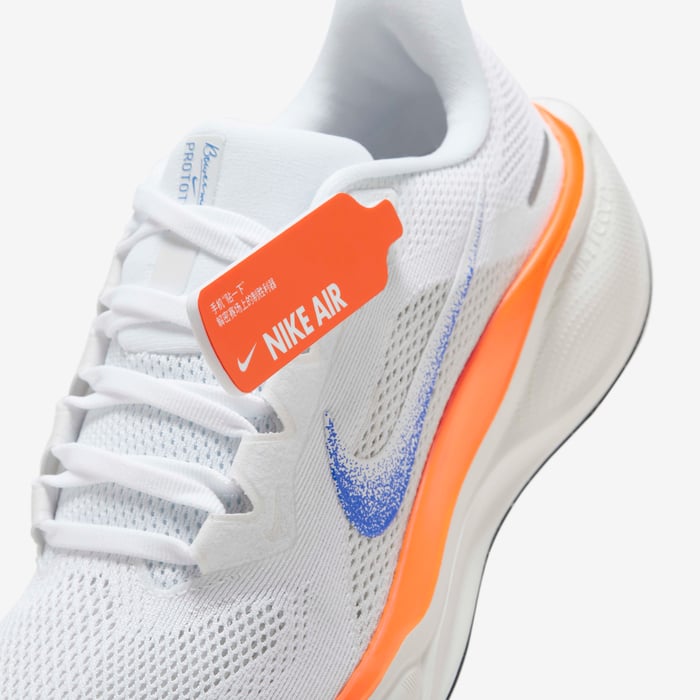 Nike Pegasus 41 Blueprint